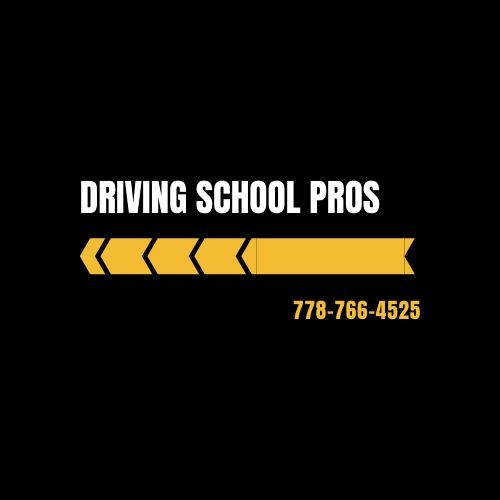 Driving School Pros